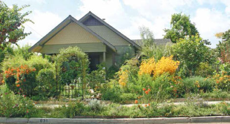 Living on an Urban Homestead: An Interview with Jules Dervaes Image